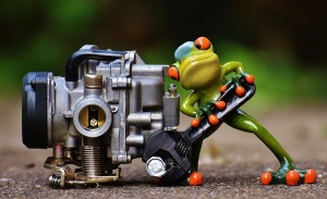 frog-1672974_960_720