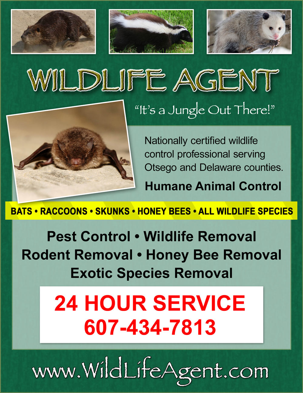 Wildlife Agent